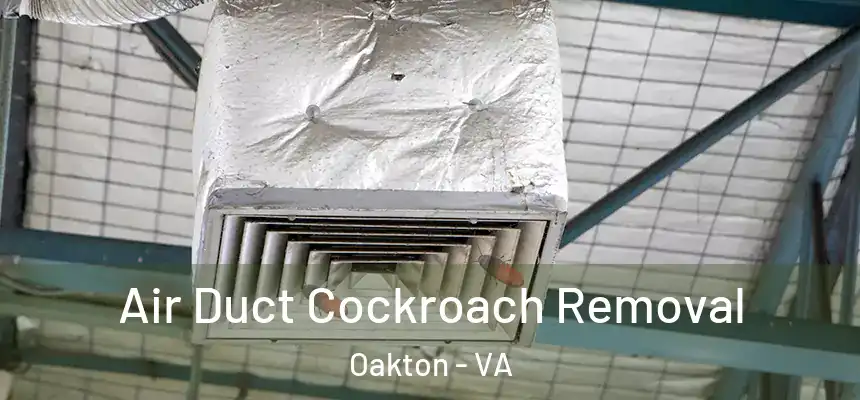 Air Duct Cockroach Removal Oakton - VA