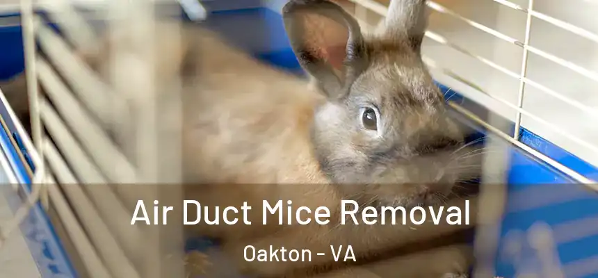 Air Duct Mice Removal Oakton - VA