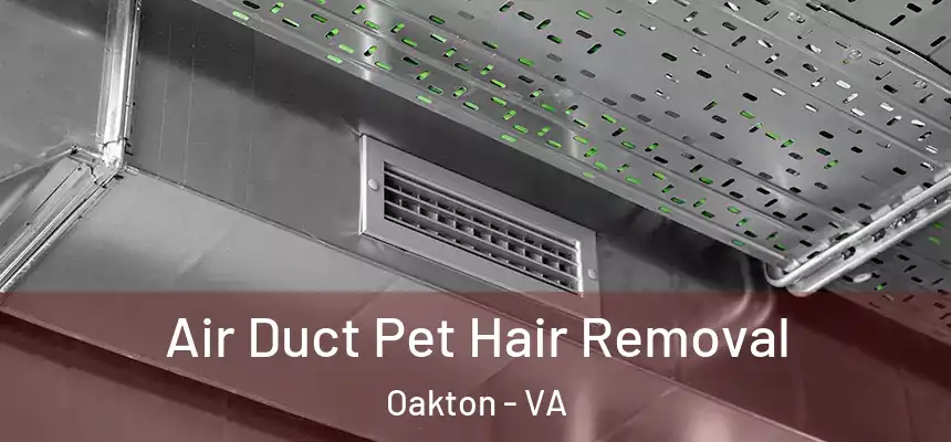Air Duct Pet Hair Removal Oakton - VA