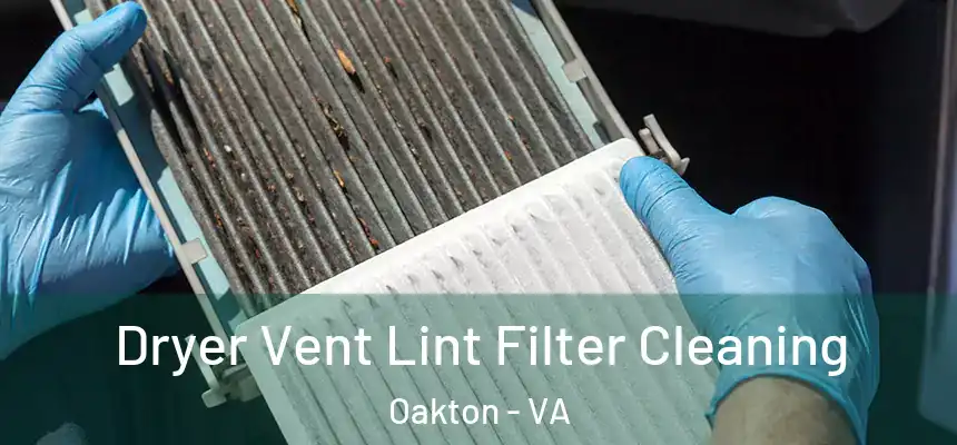  Dryer Vent Lint Filter Cleaning Oakton - VA