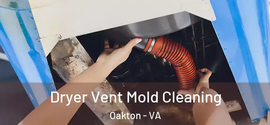 Dryer Vent Mold Cleaning Oakton - VA