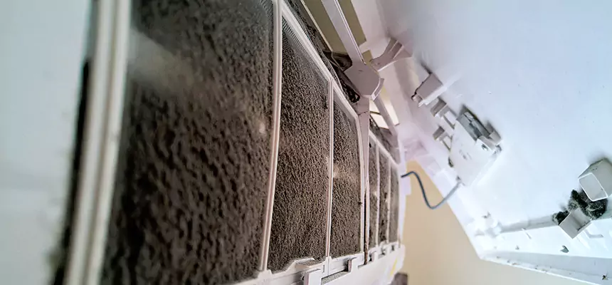 Preventive Air Duct Bacteria Removal in Oakton