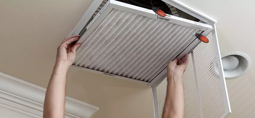 Preventive Cockroach-Proofing for Ducts in Oakton