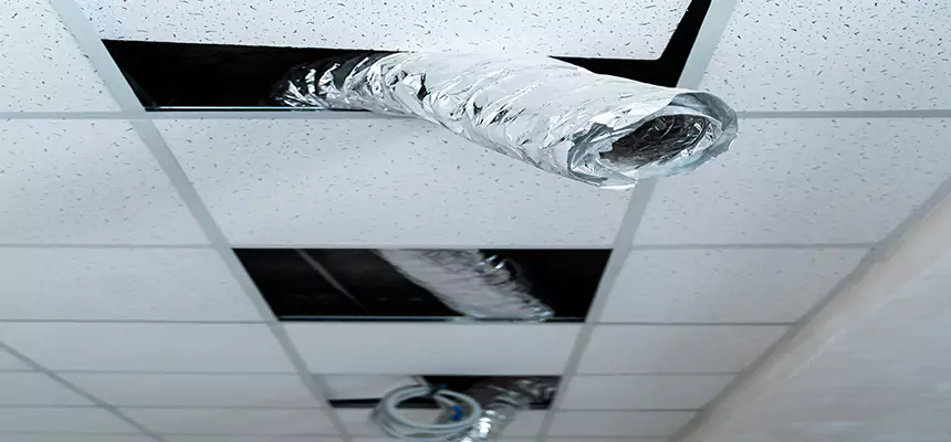 Our Air Duct Pet Hair Removal Services in Oakton, VA