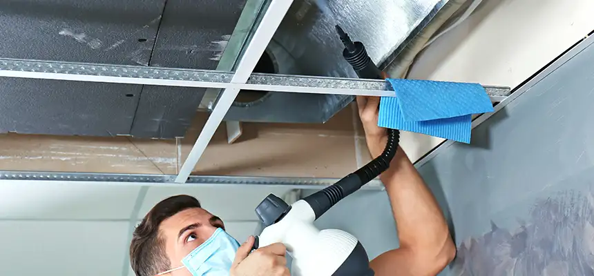 Our Air Duct Rodent Removal Services in Oakton, VA