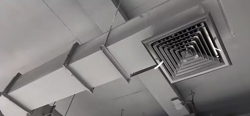 Our Pest Removal From Ducts Services in Oakton, VA