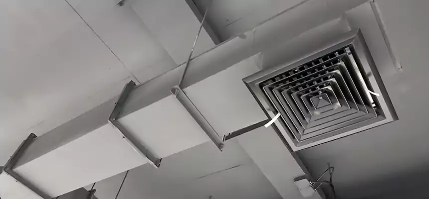 Our Rodent Droppings In Vents Services in Oakton, VA