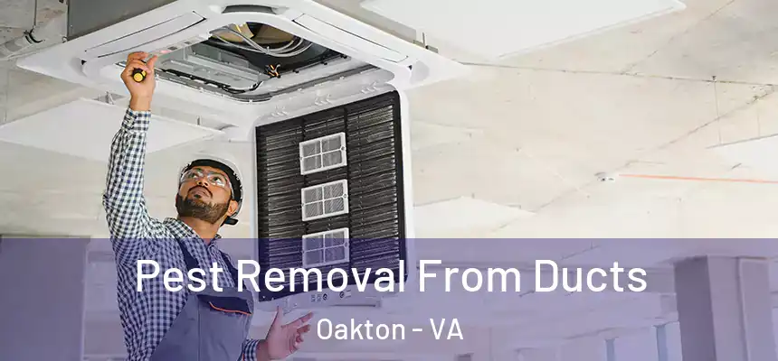 Pest Removal From Ducts Oakton - VA