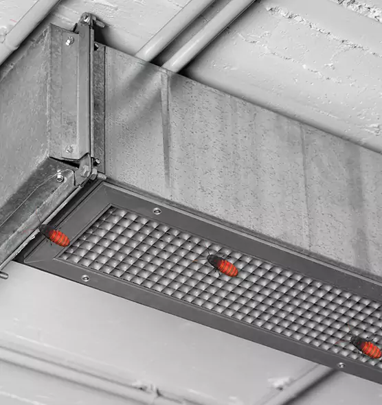 Affordable Insect Removal from Air Ducts in Oakton, VA