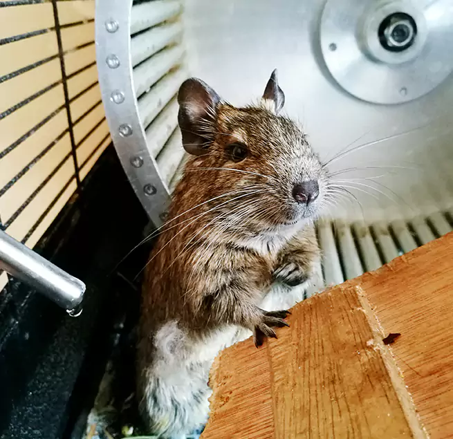 Why Homeowners & Businesses Trust Us Oakton, VA